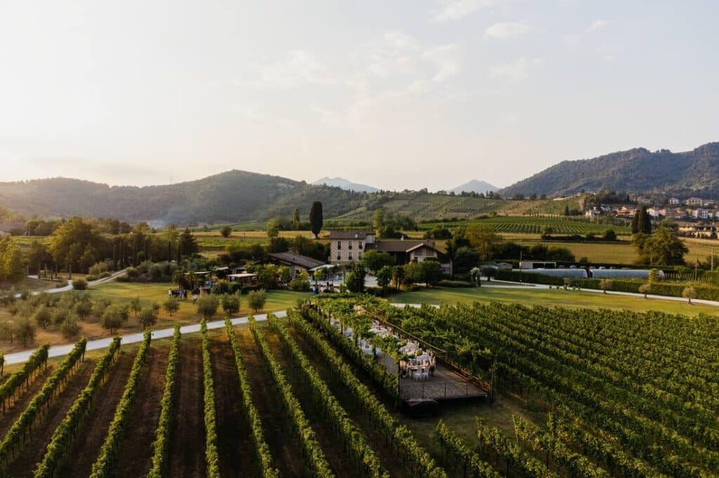 Tavolata tra i filari del vigneto della Tenuta