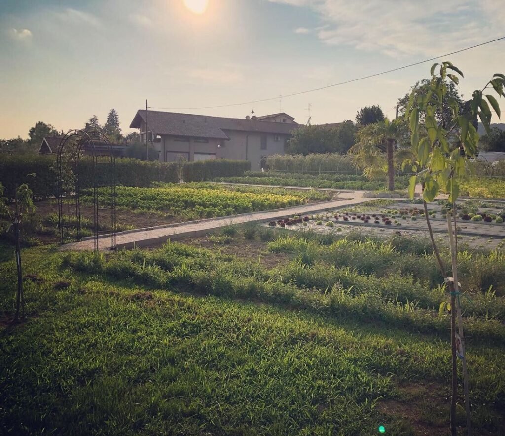 L’orto-giardino della Tenuta al tramonto